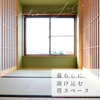 画像241