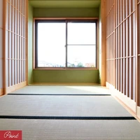 画像242