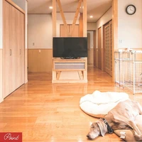 画像307